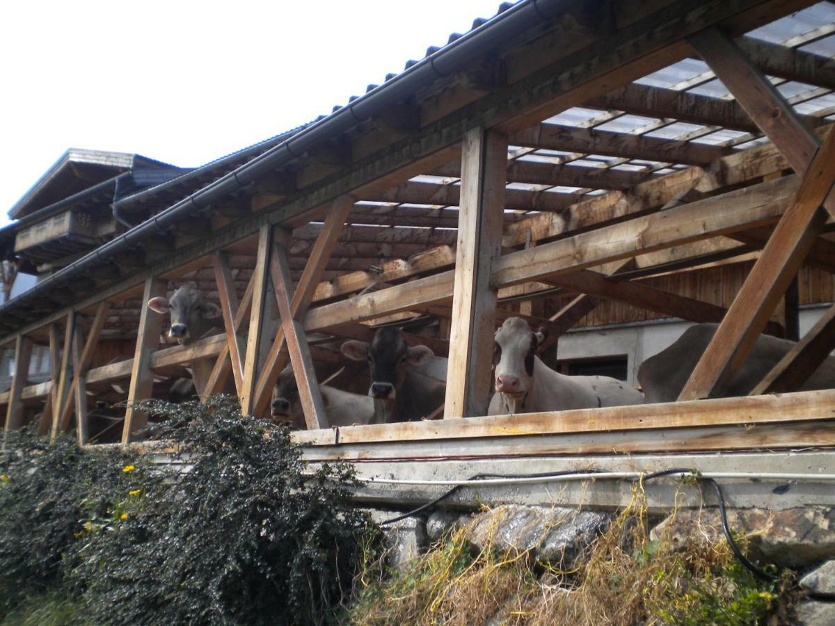 Weberhof Villa Trins Exterior photo